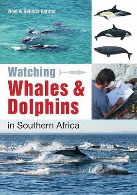 Book cover for Watching Whales & Dolphins in Southern Africa