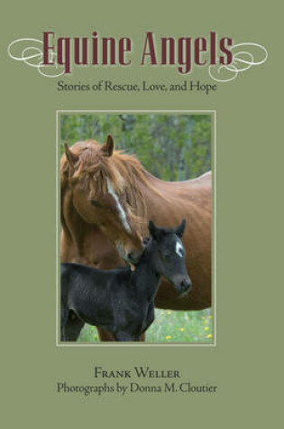 Cover of Equine Angels