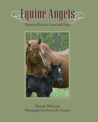 Book cover for Equine Angels