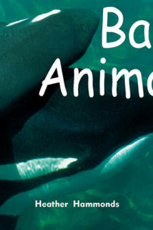 Cover of Baby Animals