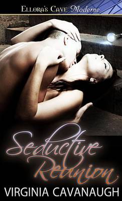 Book cover for Seductive Reunion