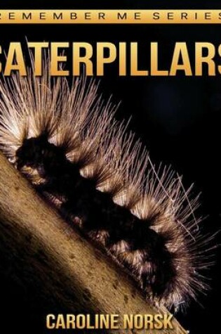 Cover of Caterpillars