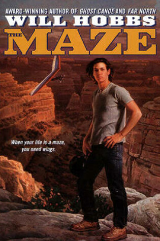 Cover of The Maze