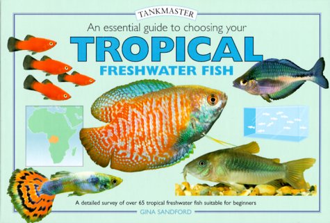 Book cover for An Essential Guide to Choosing Your Tropical Freshwater Fish