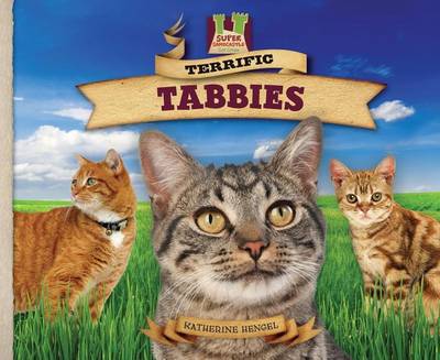 Book cover for Terrific Tabbies