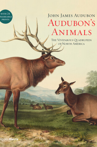 Cover of Audubon's Animals