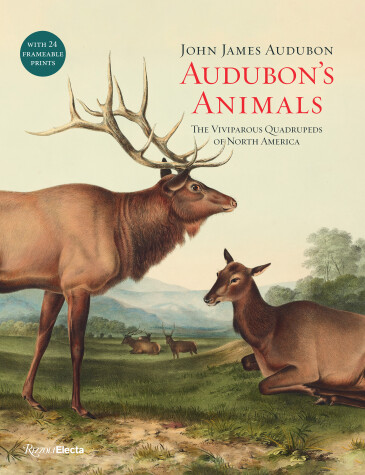 Book cover for Audubon's Animals