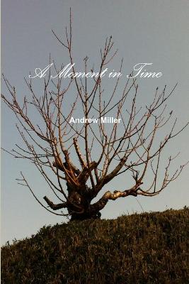 Book cover for A Moment in Time