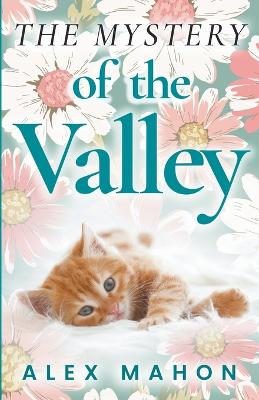 Book cover for The Mystery Of The Valley