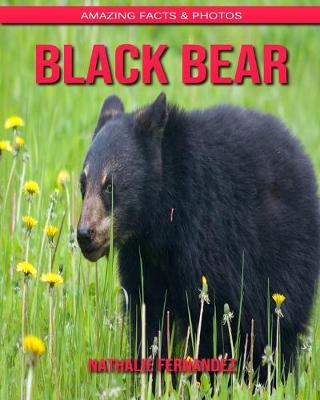 Book cover for Black Bear