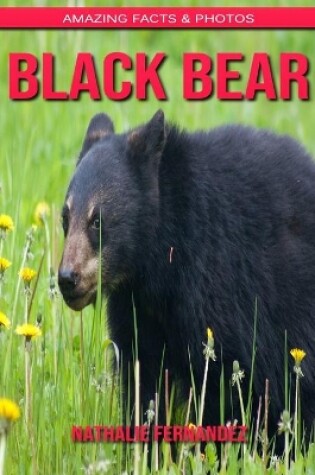 Cover of Black Bear