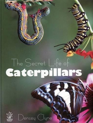 Book cover for Secret Life of Caterpillars