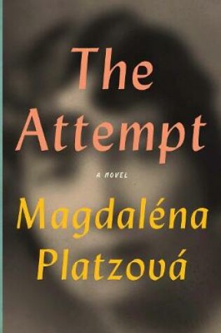 Cover of The Attempt