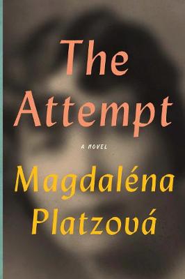 Book cover for The Attempt