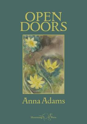 Book cover for Open Door