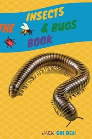 Cover of The Insects and Bugs Book