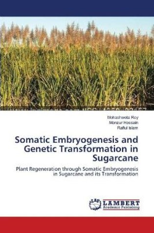 Cover of Somatic Embryogenesis and Genetic Transformation in Sugarcane