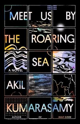 Book cover for Meet Us by the Roaring Sea