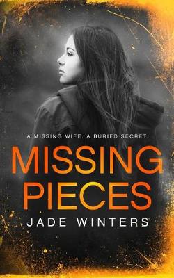 Book cover for Missing Pieces