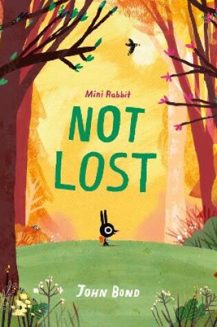 Cover of Mini Rabbit Not Lost