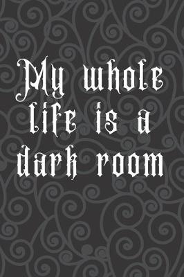 Book cover for My Whole Life is A Dark Room