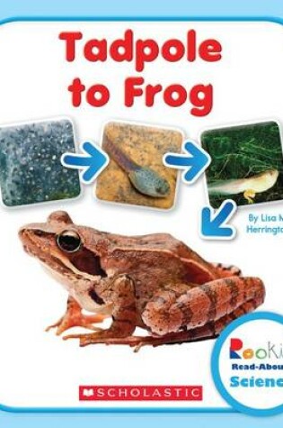 Cover of Tadpole to Frog