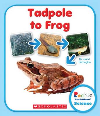 Cover of Tadpole to Frog