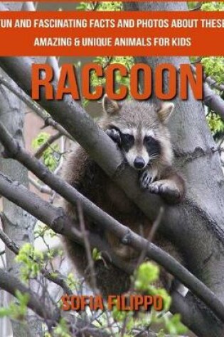 Cover of Raccoon