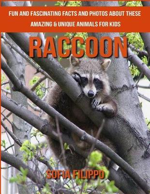 Book cover for Raccoon