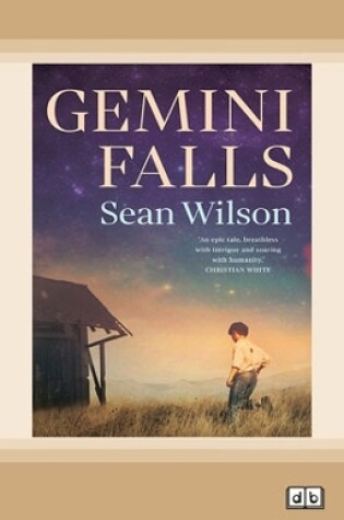 Cover of Gemini Falls