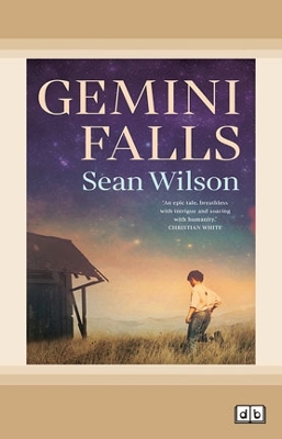 Book cover for Gemini Falls
