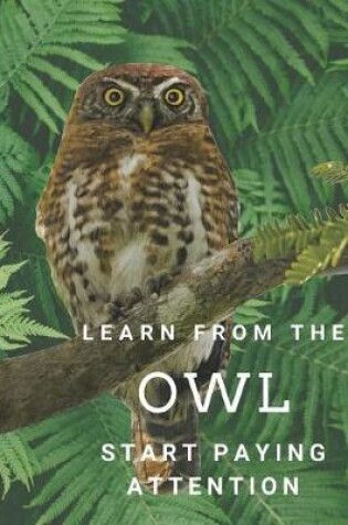 Cover of Learn from the OWL Start Paying Attention