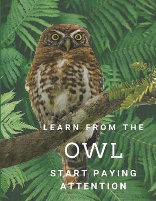 Book cover for Learn from the OWL Start Paying Attention