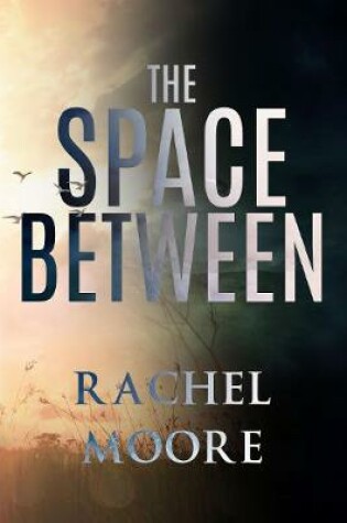 Cover of The Space Between