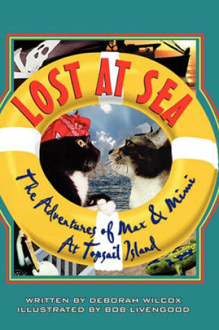 Cover of Lost At Sea