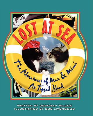 Book cover for Lost At Sea