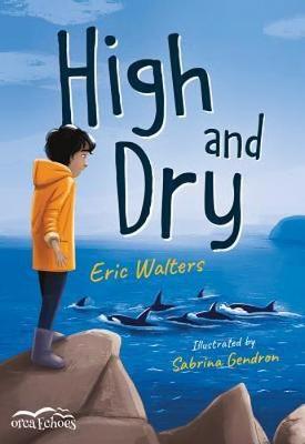 Book cover for High and Dry