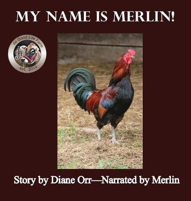 Book cover for My Name is Merlin