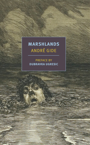 Book cover for Marshlands