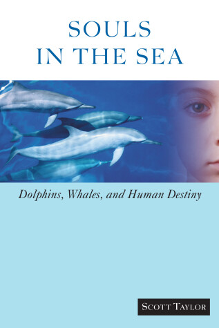 Book cover for Souls in the Sea