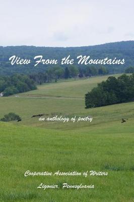 Book cover for View From the Mountains