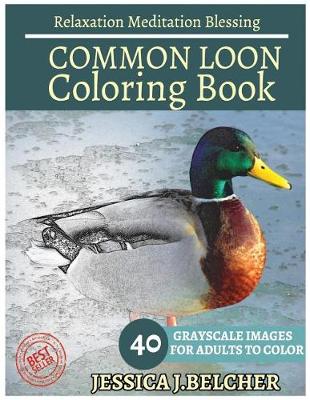 Book cover for Common Loon Coloring Book for Adults Relaxation Meditation Blessing