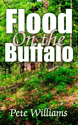 Book cover for Flood On the Buffalo