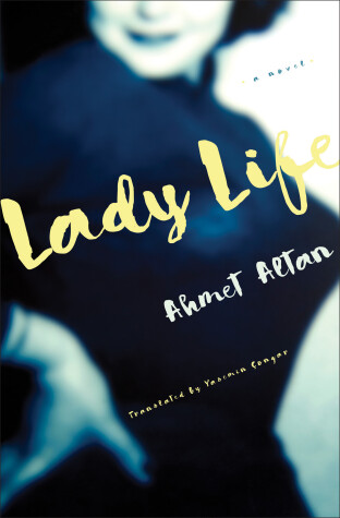 Book cover for Lady Life