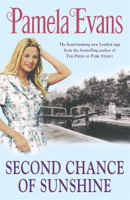 Book cover for Second Chance of Sunshine