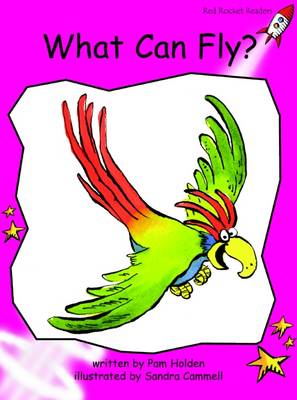 Cover of What Can Fly?