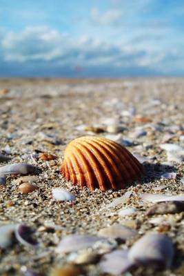 Book cover for A Lovely Seashell at the Seashore Journal