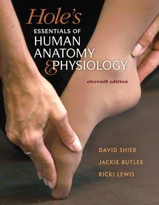 Book cover for Connect Hole's Essentials of Human Anatomy and Physiology with Learnsmart 1 Semester and Apr & Phils Online Access