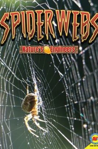 Cover of Spider Webs