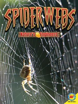 Book cover for Spider Webs